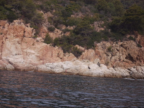 lloret 081