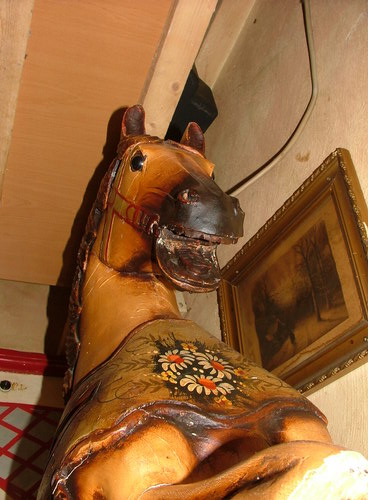 DSCF0246