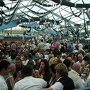IMG 0004