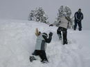 der Schnee ist auch f